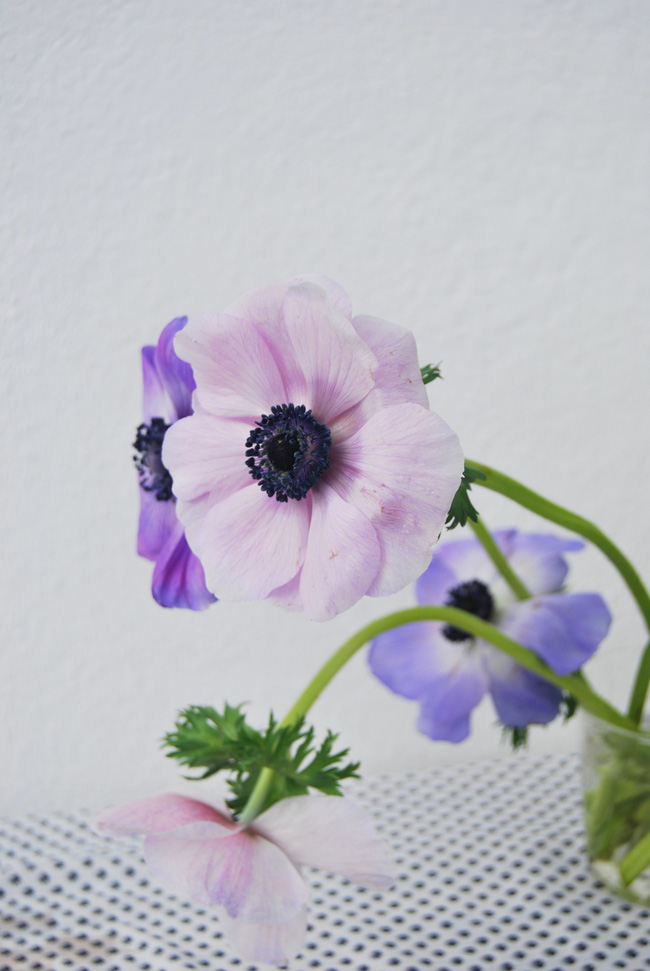 Mang vẻ đẹp tràn đầy sức sống của các loài hoa vào ngôi nhà với cách cắm hoa đơn giản  - Ảnh 1.
