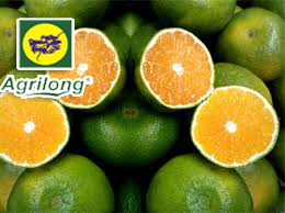 cam-agrilong