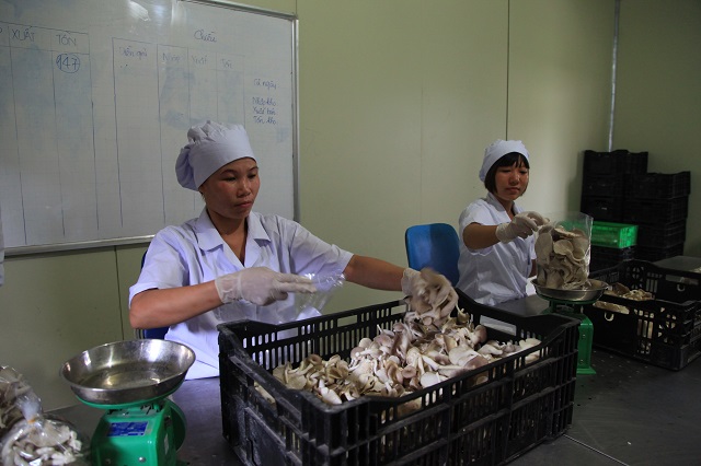 cong20thuong