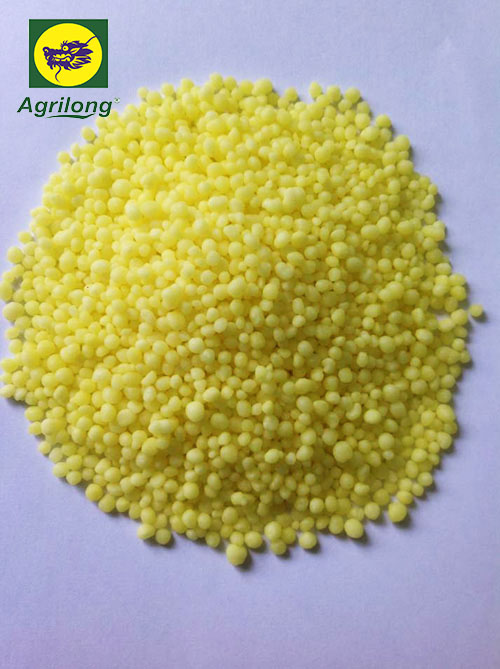 dam-vang-agrilong