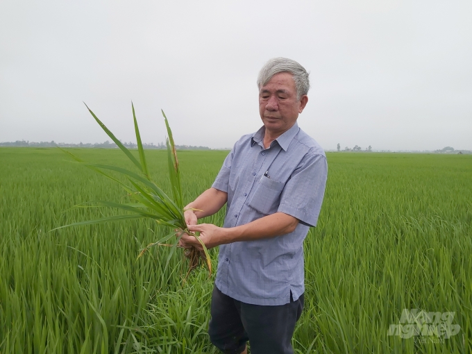 Ông Phan Đăng Hà, một hộ dân tại xã Hưng Nhân, huyện Hưng Nguyên lo lắng trước tình hình dịch bệnh. Ảnh: Việt Khánh.