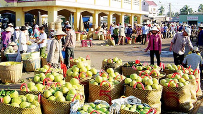 xuat-khau-nong-san_hahs-1-0648
